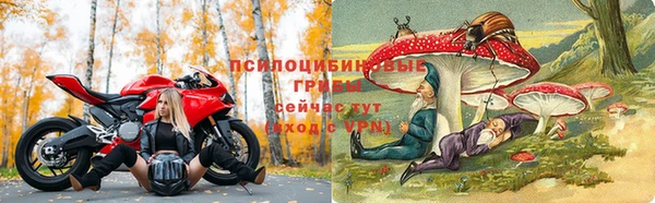 твердый Володарск